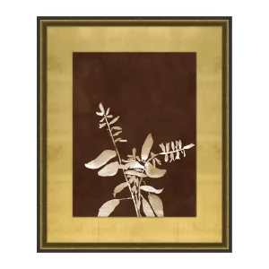 Botanist Study 5