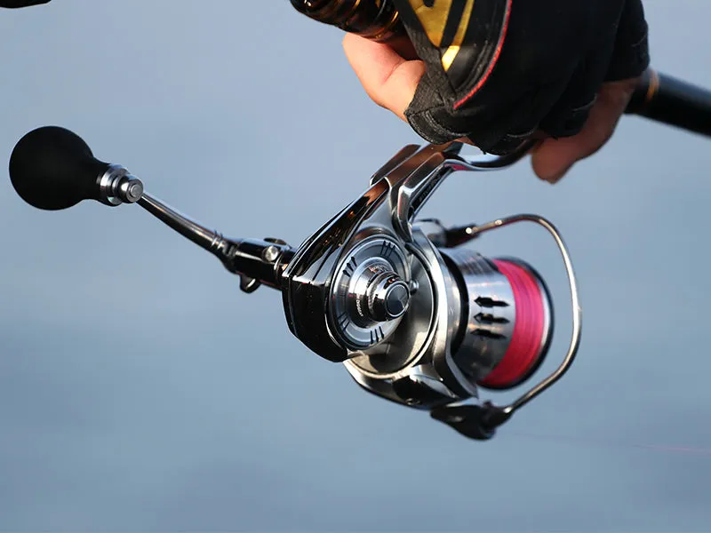 Daiwa 24 Impult
